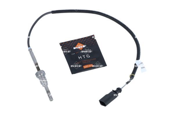 Sensor Abgastemperatur