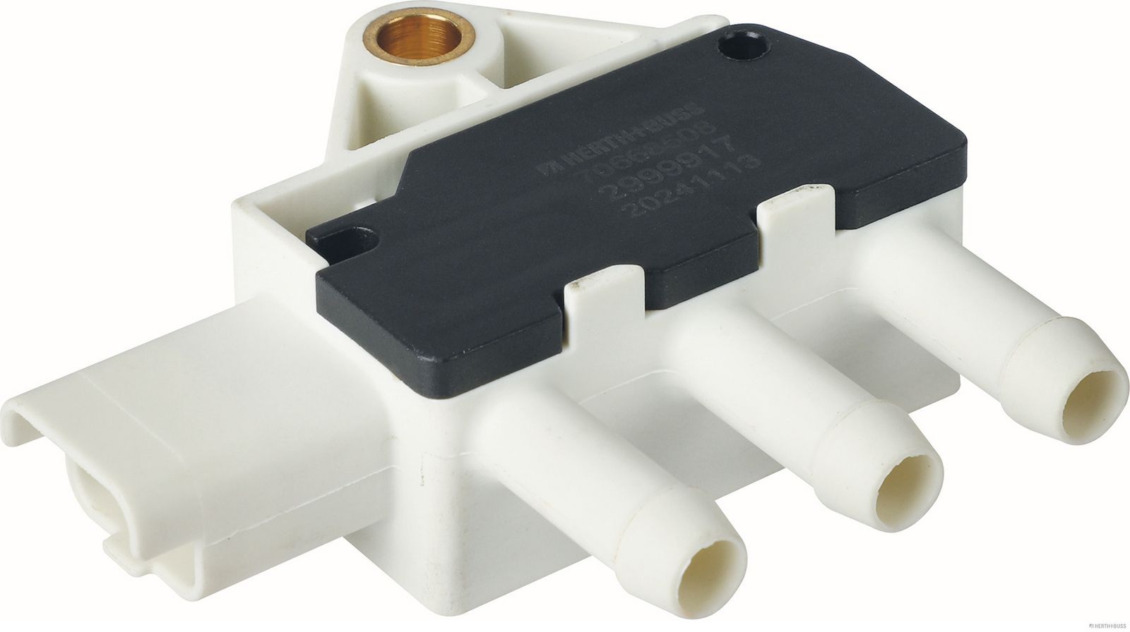 Abgasdrucksensor Differenzdruck