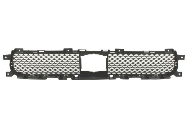 Stoßstange Gitter
