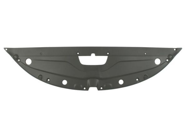 Frontmaske Frontgerüst Schloßträger