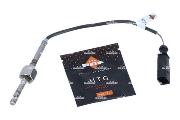 Sensor Abgastemperatur