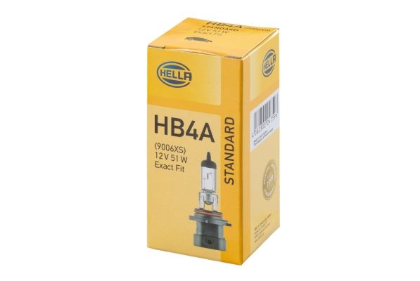 Glühlampen HB4A Set 10 Stück
