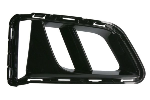 Stoßstange Gitter