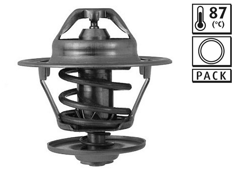 Thermostat Kühlwasser Kühlmittel