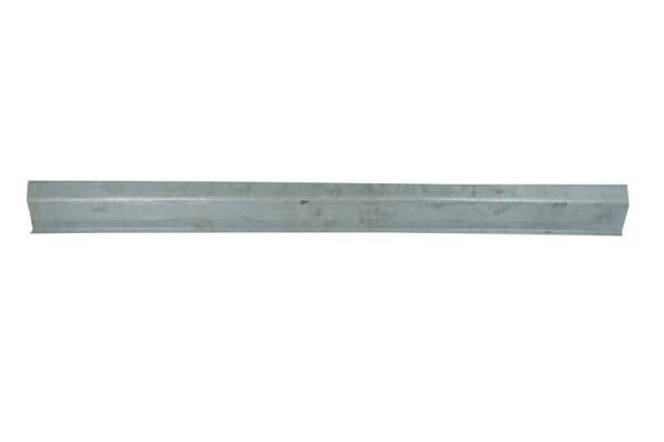 Einstiegsblech Schweller
