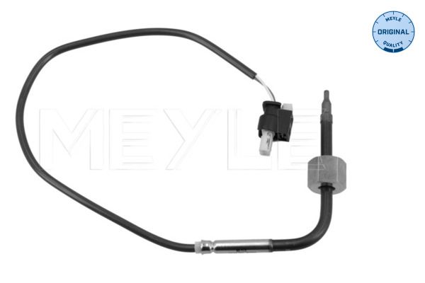 Sensor Abgastemperatur