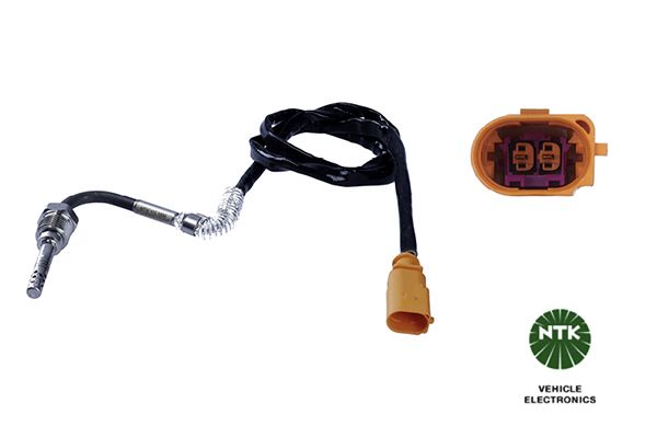 Sensor Abgastemperatur