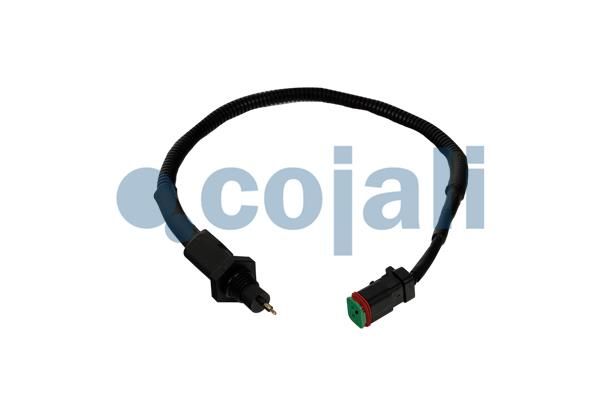 Sensor