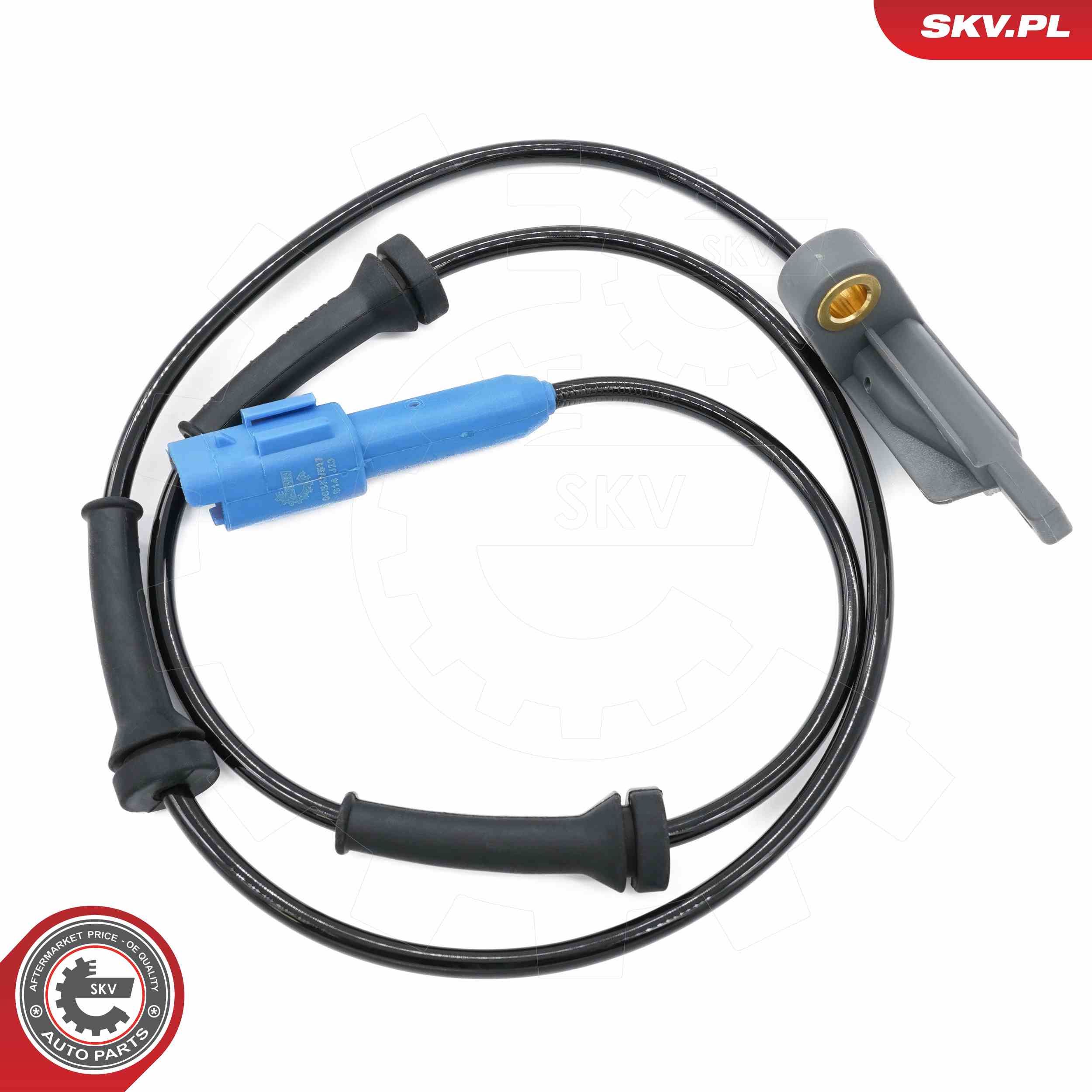ABS-Sensor