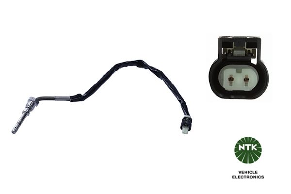 Sensor Abgastemperatur