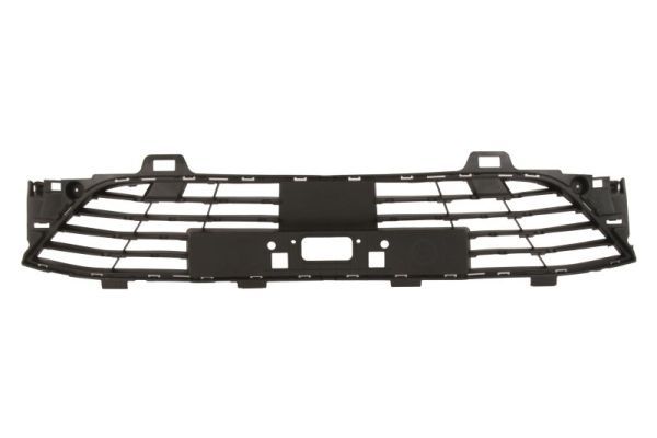 Stoßstange Gitter