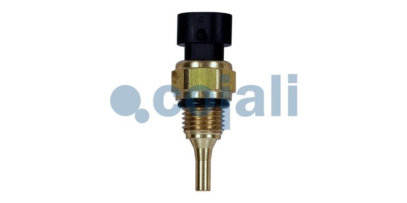 Kühlmitteltemperatursensor