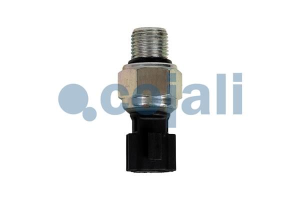 Sensor
