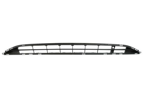 Stoßstange Gitter