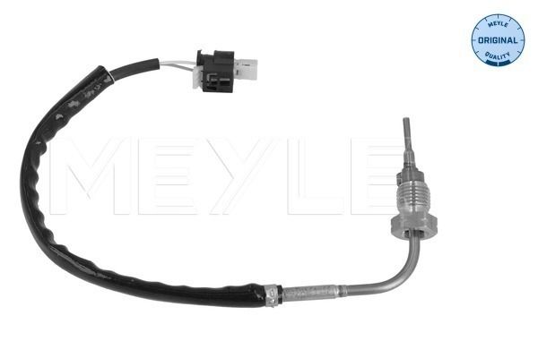 Sensor Abgastemperatur