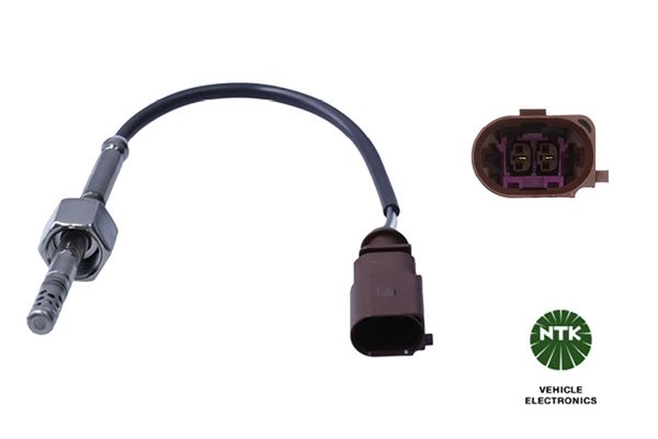 Sensor Abgastemperatur