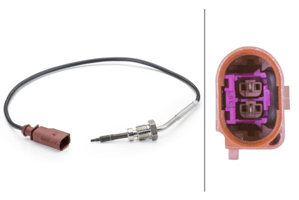 Sensor Abgastemperatur