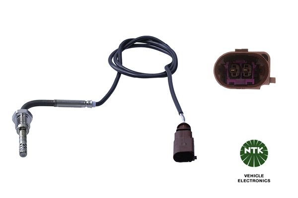 Sensor Abgastemperatur