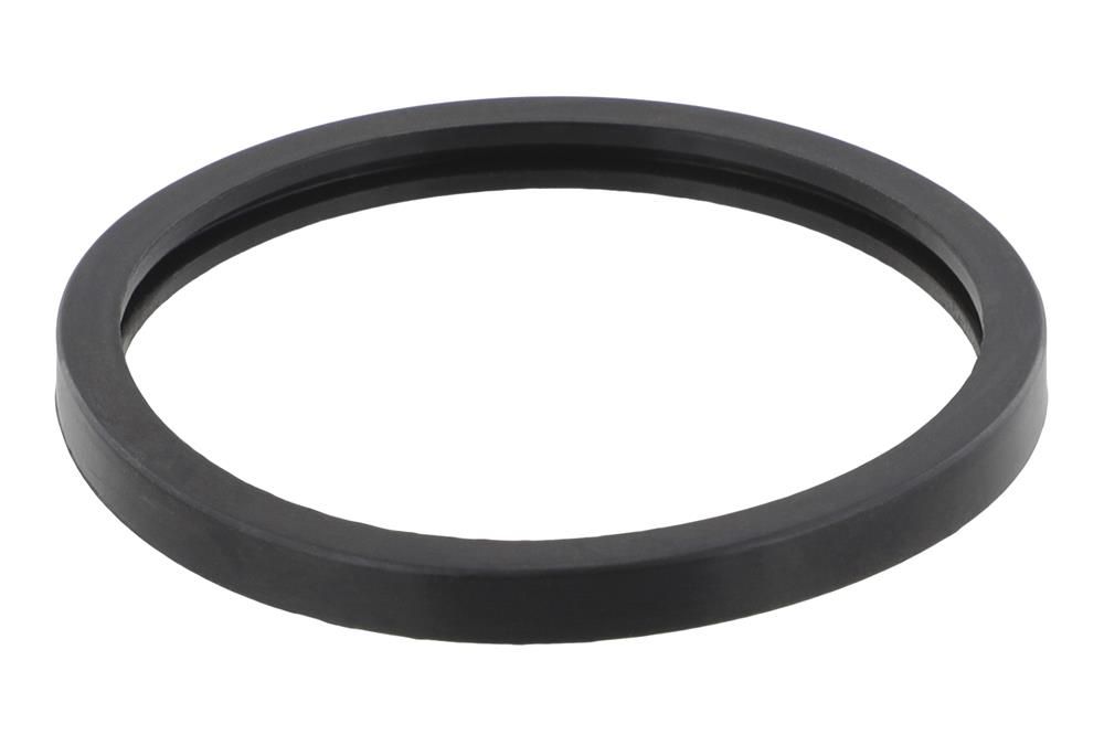 Dichtung Thermostat