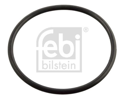 Dichtung Thermostat
