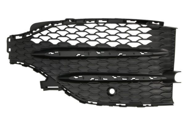 Stoßstange Gitter