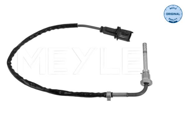 Sensor Abgastemperatur
