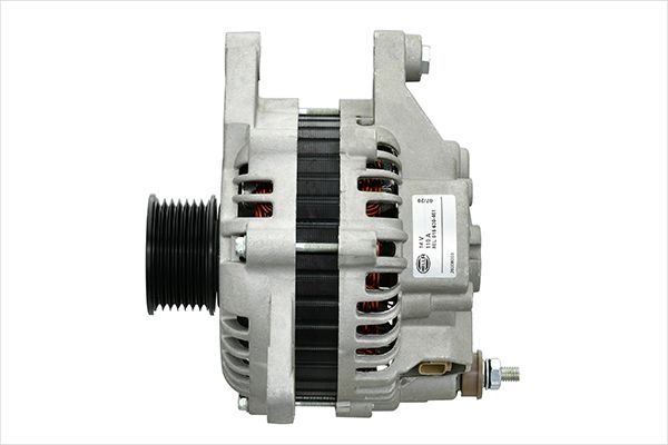 Lichtmaschine Generator