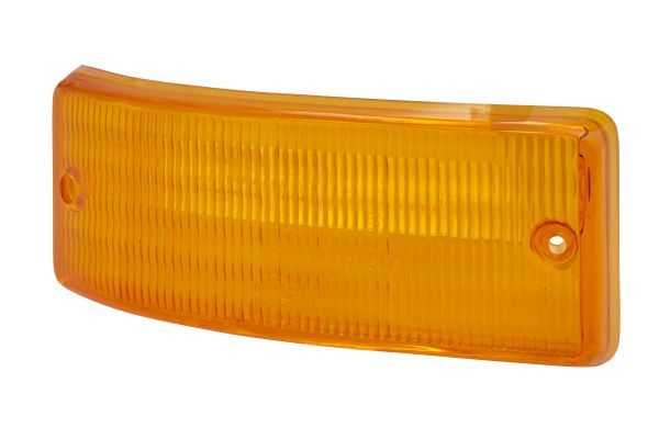 Lichtscheibe Blinker Blinkleuchte