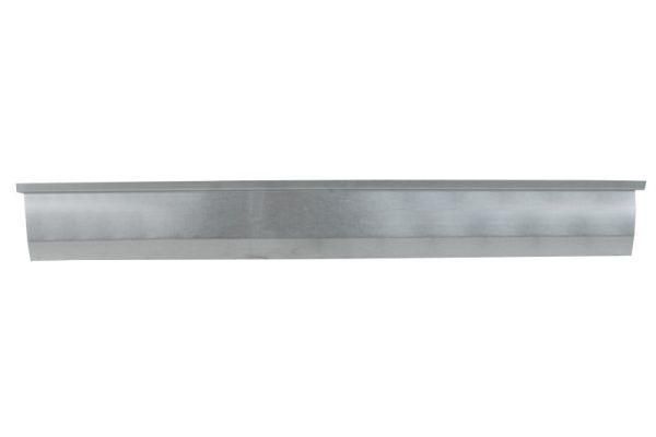 Einstiegsblech Schweller
