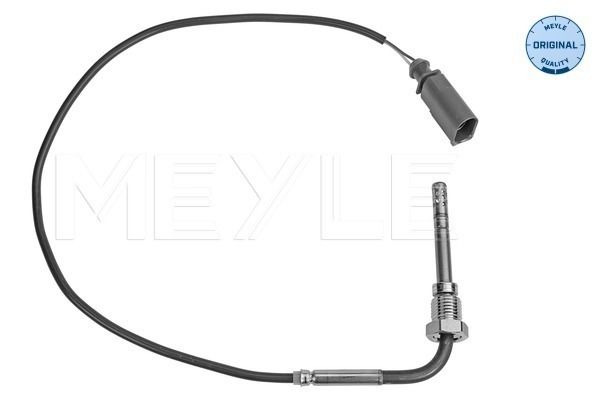 Sensor Abgastemperatur