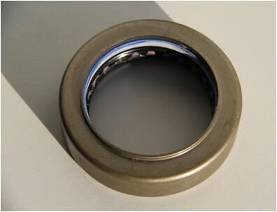 Wellen Dichtring Differential