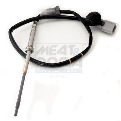 Sensor Abgastemperatur