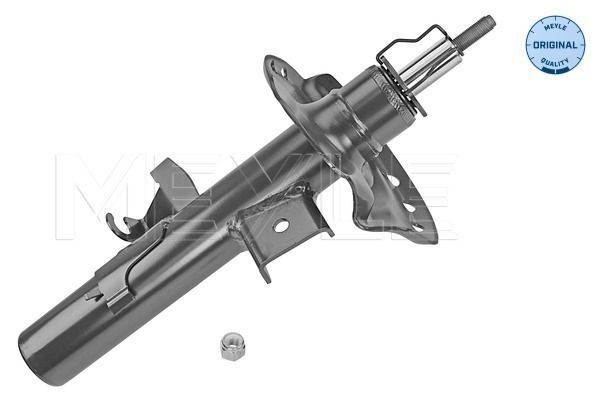 Stoßdämpfer Federbein