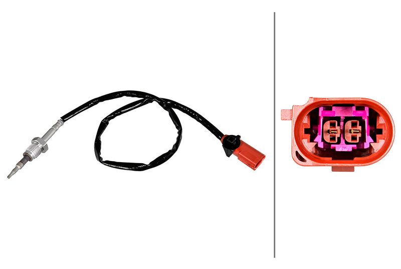 Sensor Abgastemperatur