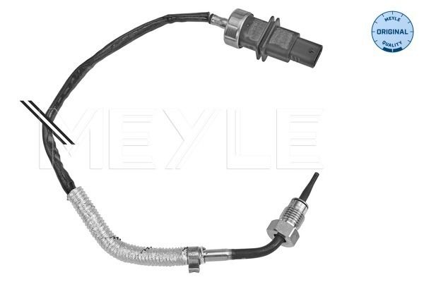 Sensor Abgastemperatur