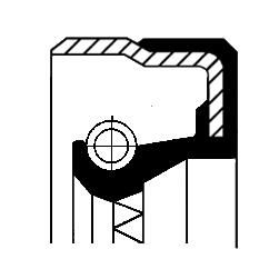 Wellen Dichtring Differential