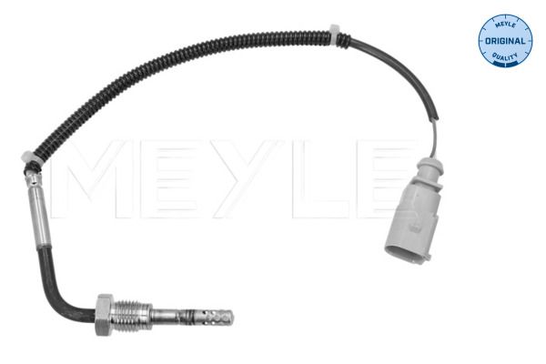 Sensor Abgastemperatur