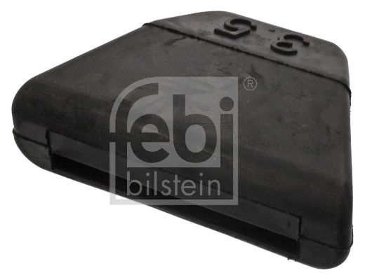 Federbuchs Blattfeder