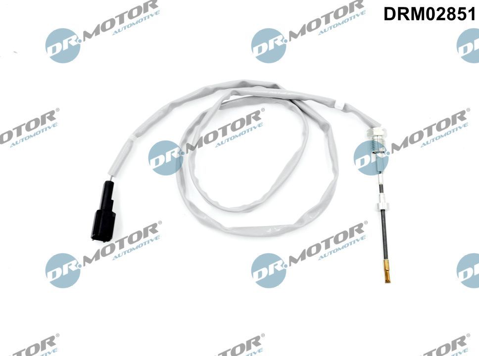 Sensor Abgastemperatur