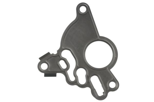 Dichtung Kraftstoffpumpe
