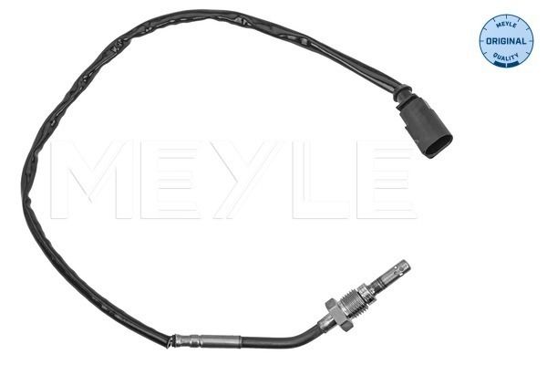 Sensor Abgastemperatur