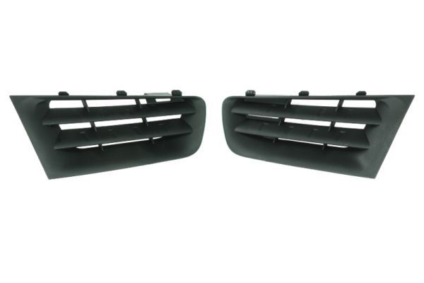 Stoßstange Gitter
