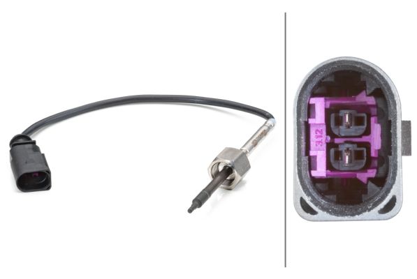 Sensor Abgastemperatur