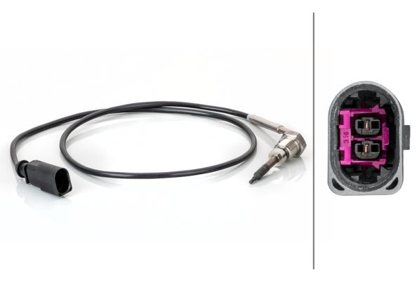 Sensor Abgastemperatur