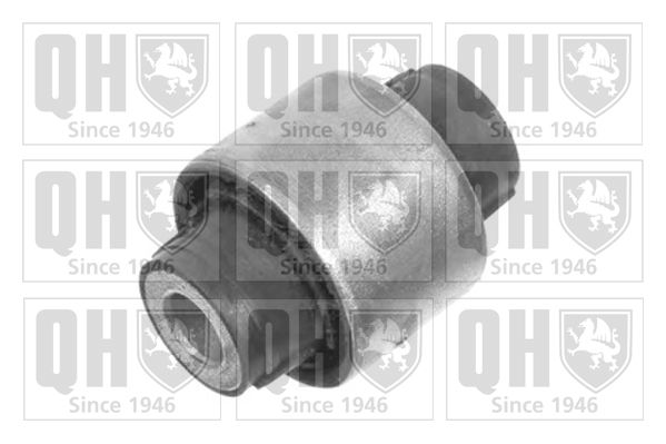 Querlenker Silentblock hinten