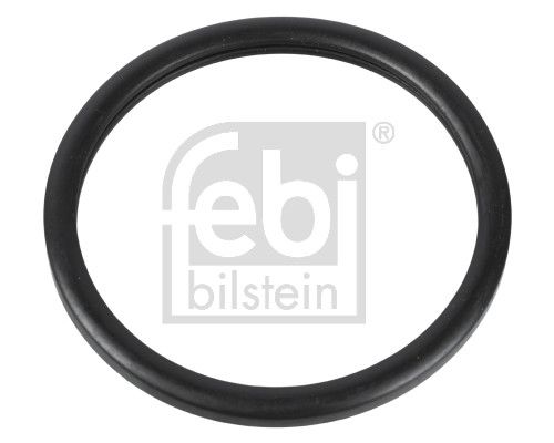 Dichtung Thermostat