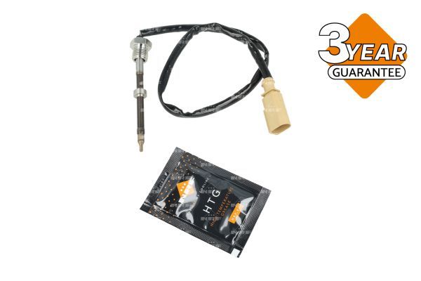 Sensor Abgastemperatur
