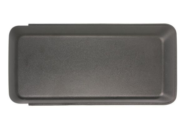 Stoßstange Gitter