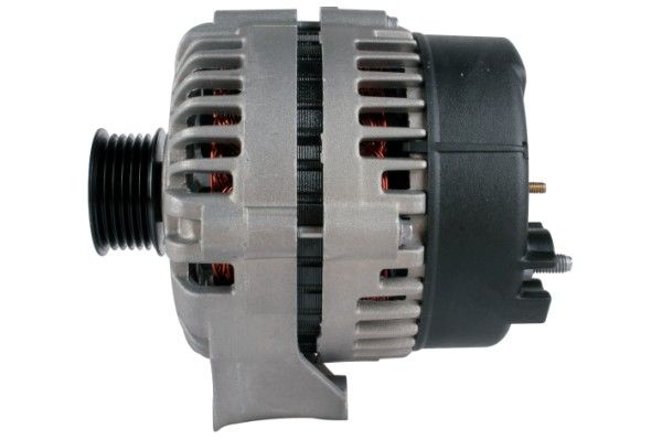 Lichtmaschine Generator