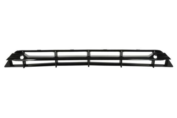 Stoßstange Gitter